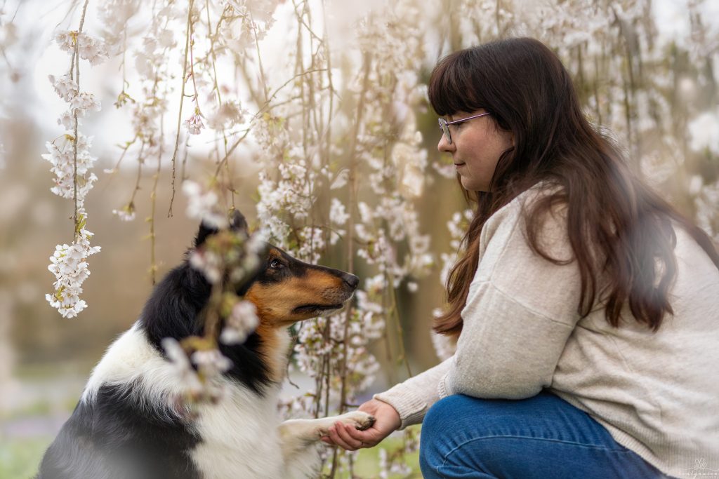 img 4115 verbessert nr