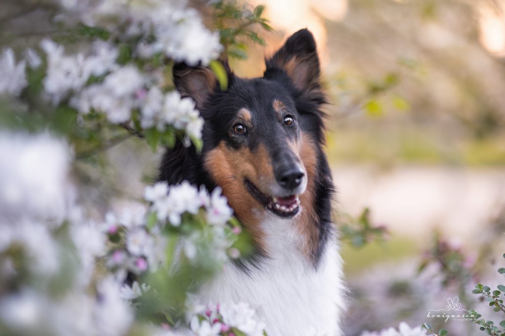 Aktionsshooting img 5148