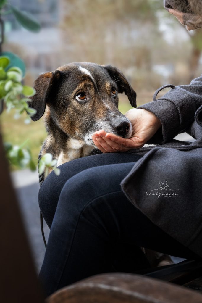 Ablauf 2i7a5630@0,3x